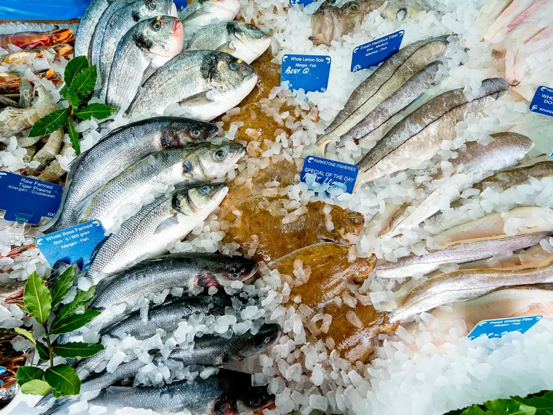 Whole fish on ice on the Parkstone Fisheries counter