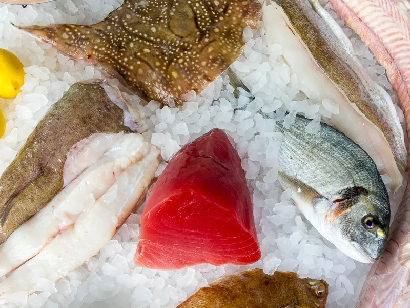 Tuna, bream, flat fish and fillets on the counter