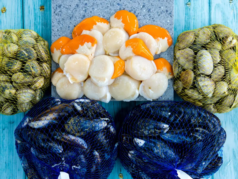 Locally sourced fresh fish and shellfish at Parkstone Fisheries
