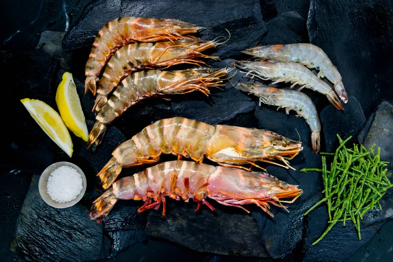 Large raw shell-on prawns of several kinds on slate with lemon, sea salt and samphire