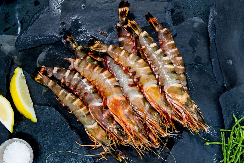 Raw shell-on tiger prawns piled on slate with lemon, sea salt and samphire