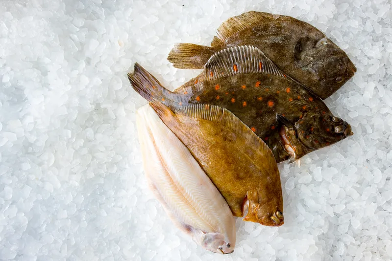 Whole plaice and other flat fish on crushed ice