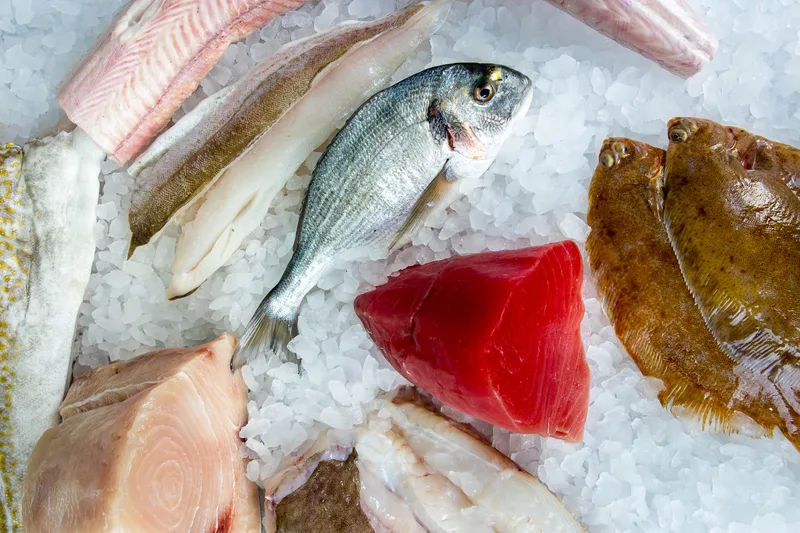A whole bream, a piece of tuna loin, a swordfish steak, fillets and whole flat fish on crushed ice