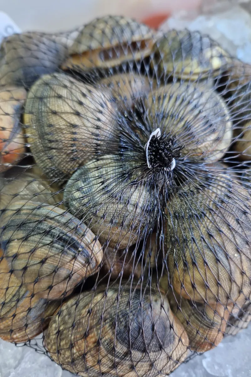 A net bag of clams on ice