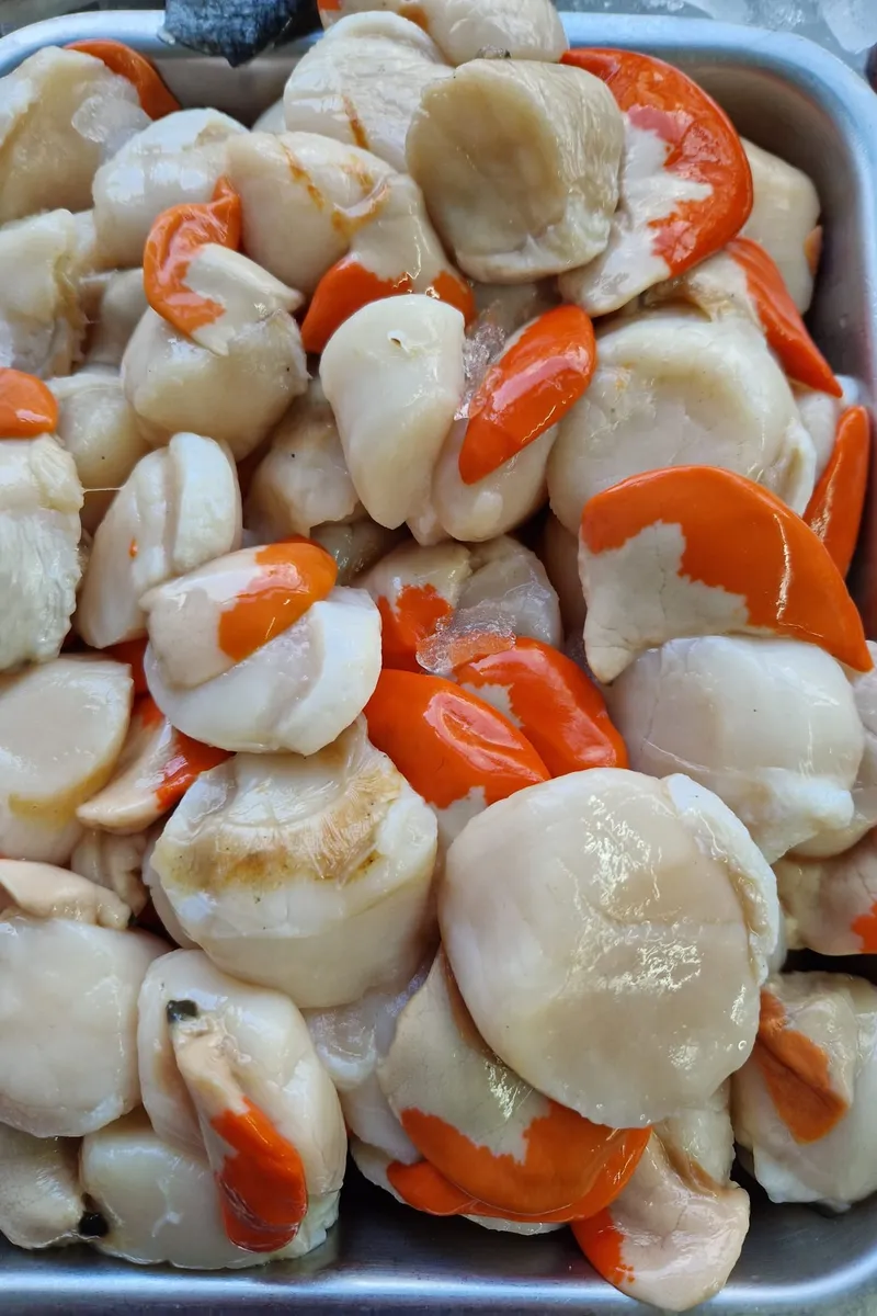 A tray of shelled scallops with the roe on