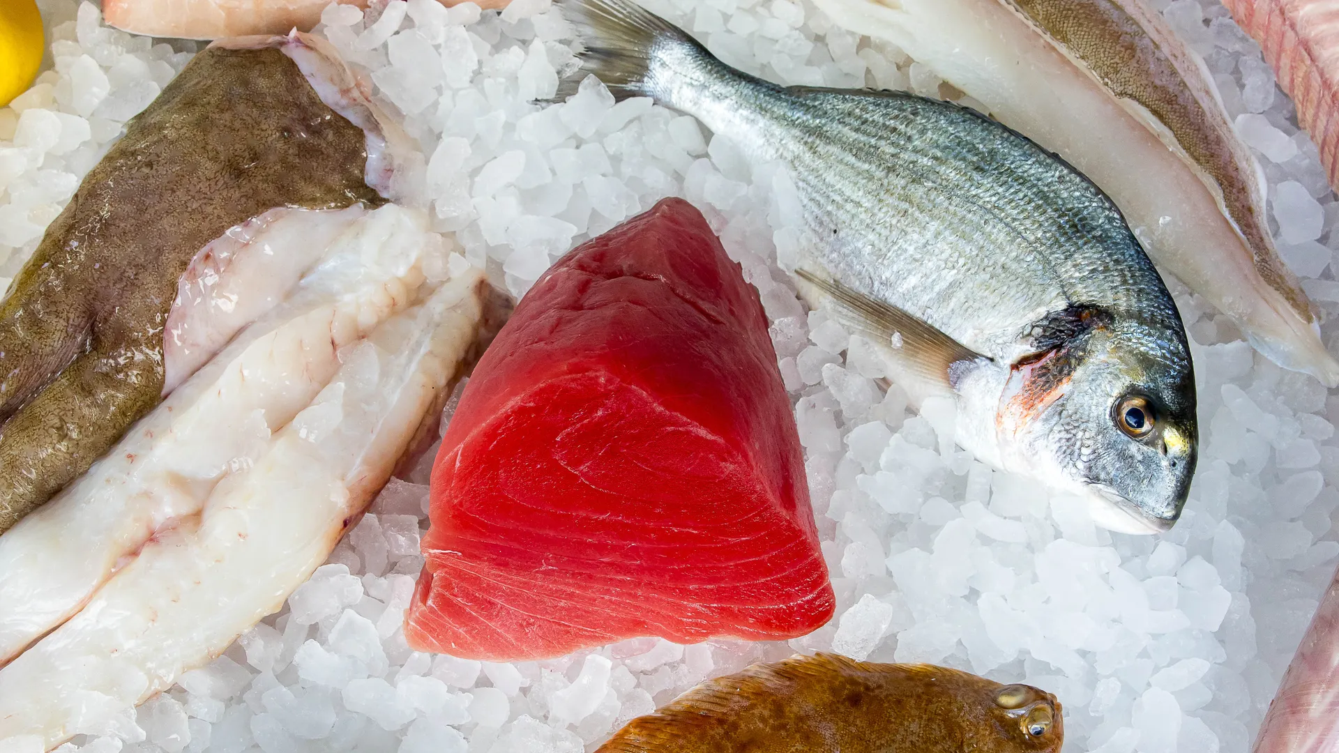 Premium seafood counter at Parkstone Fisheries