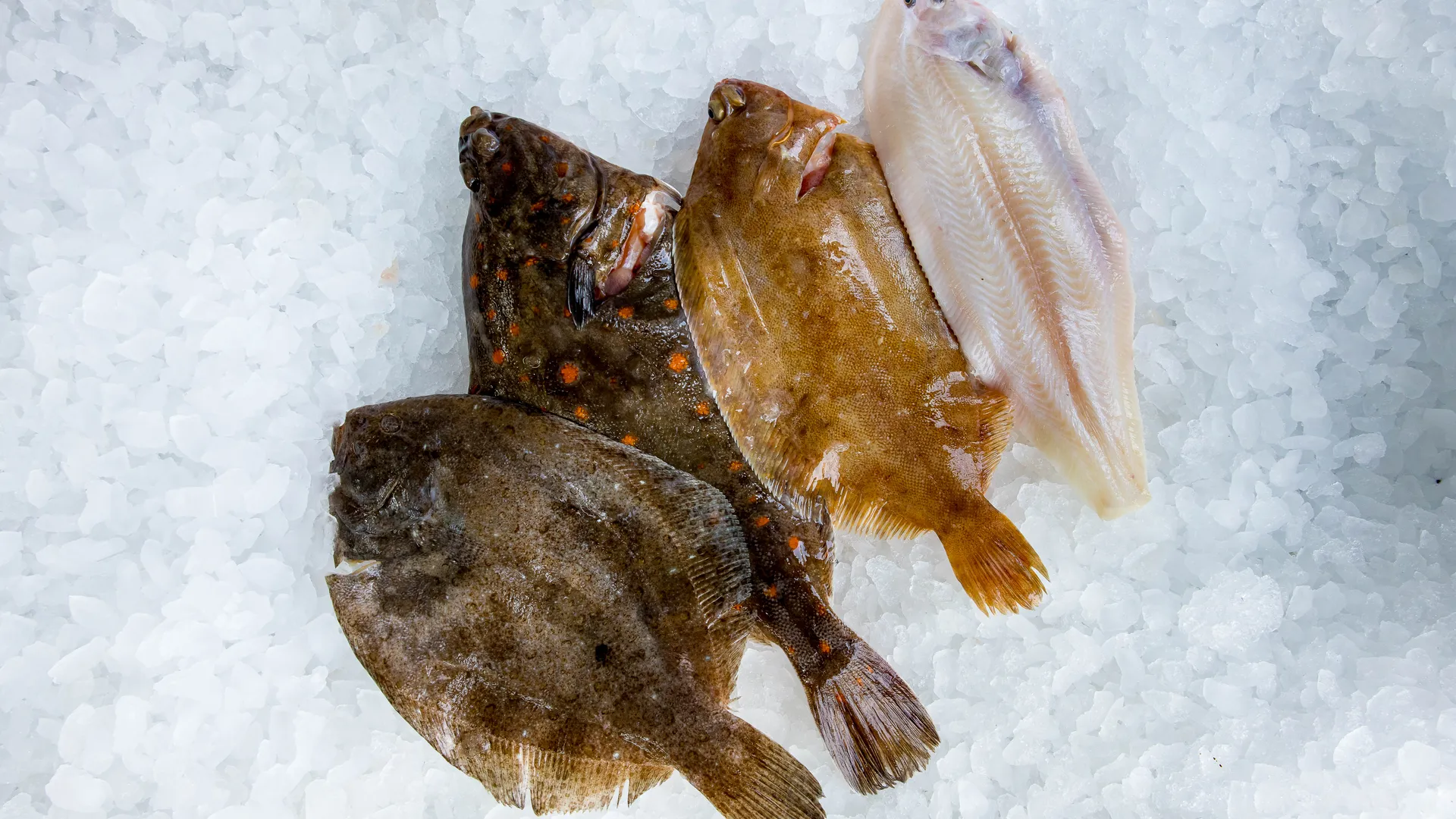 Fresh fish fillets ready for delivery from Parkstone Fisheries