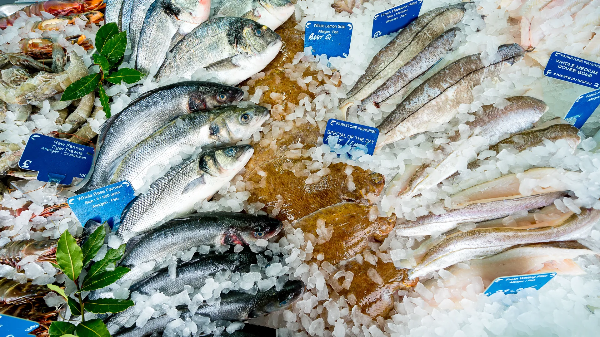 Sustainable locally sourced fish at Parkstone Fisheries