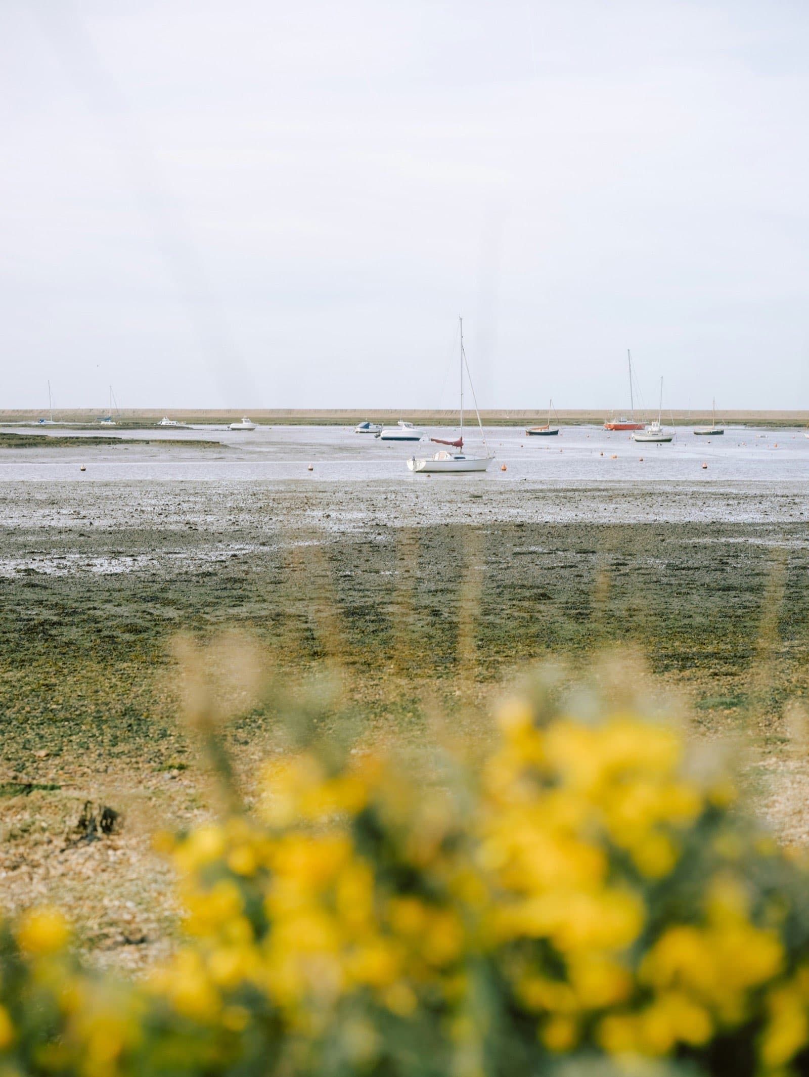 Fresh fish and seafood delivered to Lymington