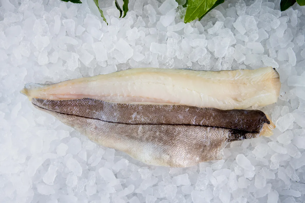 A skin-on haddock fillet on ice, ready to cook