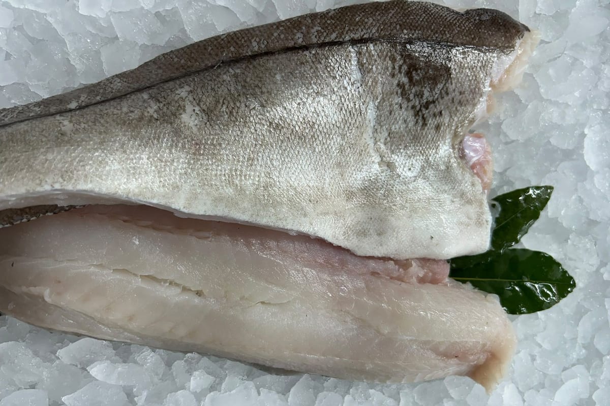 Fresh haddock at Parkstone Fisheries, Poole