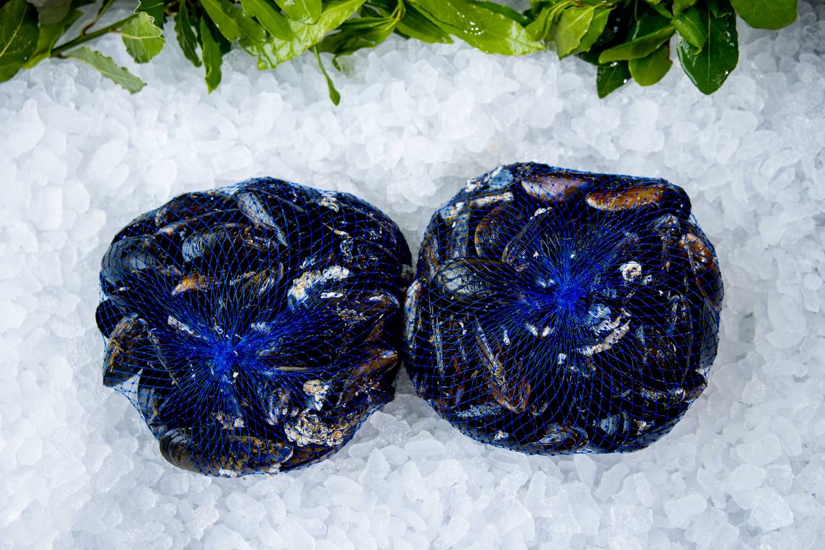 Fresh Fresh Live Mussels from Parkstone Fisheries, Poole