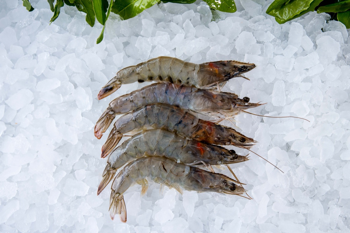 Fresh prawns at Parkstone Fisheries, Poole