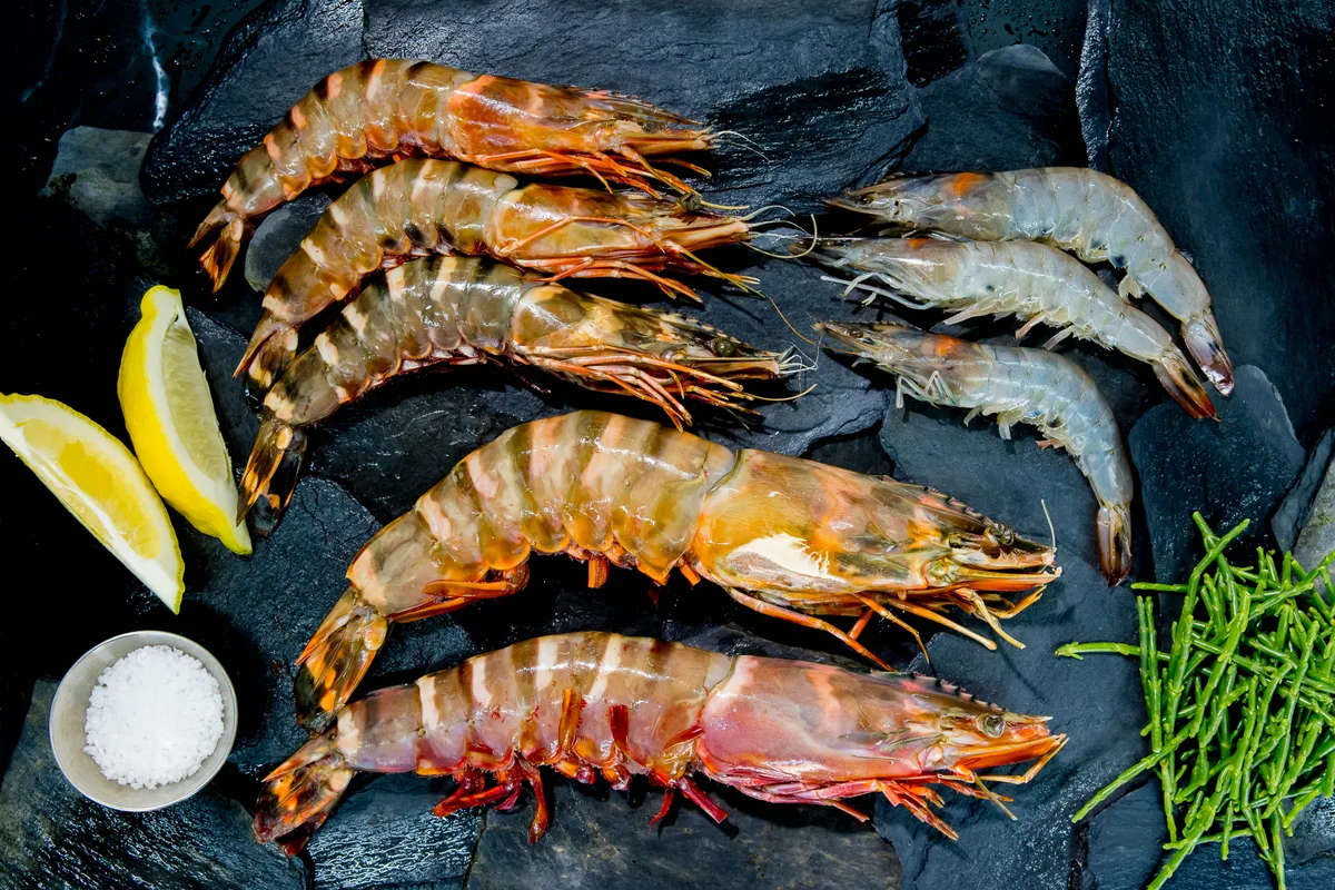 Fresh Whole Raw King Prawns from Parkstone Fisheries, Poole